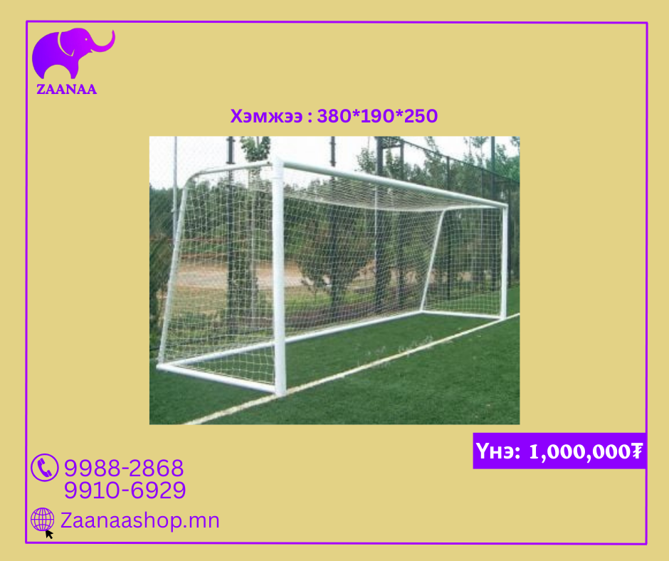 Хөл бөмбөгийн хаалга, тор /М/